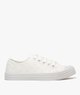 BLANC STANDARD