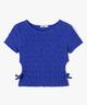 BLEU STANDARD