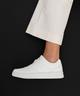 BLANC STANDARD