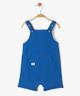 BLEU CHINE