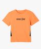 ORANGE STANDARD