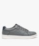 GRIS STANDARD
