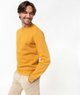JAUNE VIF