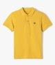 JAUNE STANDARD