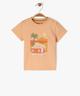 ORANGE STANDARD