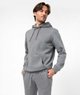 GRIS STANDARD
