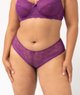 VIOLET STANDARD